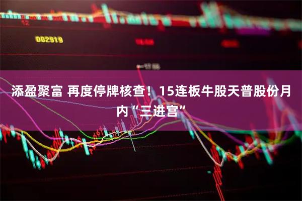 添盈聚富 再度停牌核查！15连板牛股天普股份月内“三进宫”