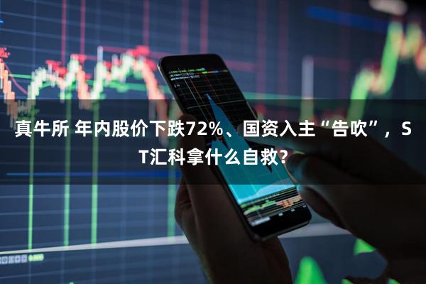真牛所 年内股价下跌72%、国资入主“告吹”,ST汇科拿什么自救?