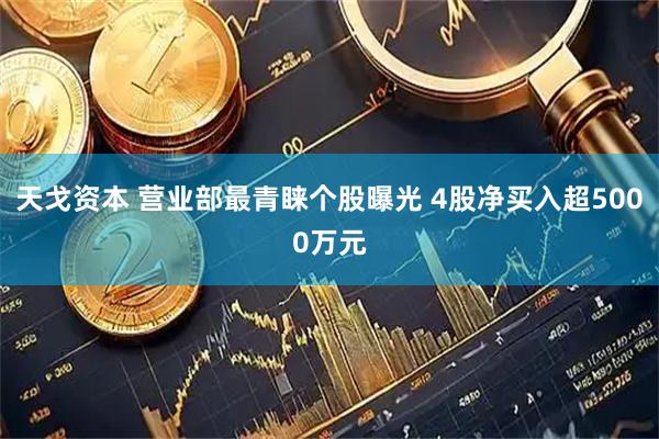 天戈资本 营业部最青睐个股曝光 4股净买入超5000万元