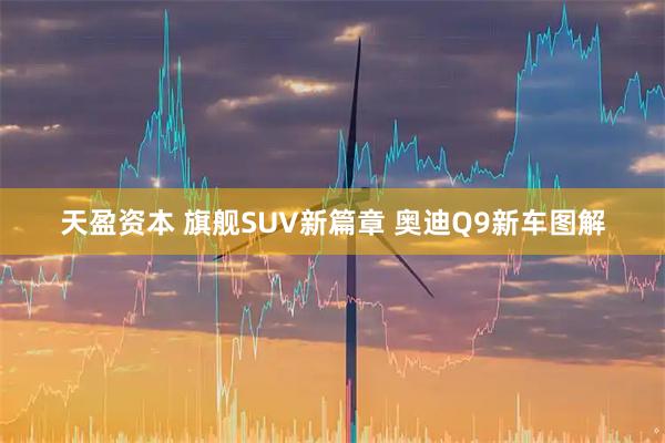 天盈资本 旗舰SUV新篇章 奥迪Q9新车图解